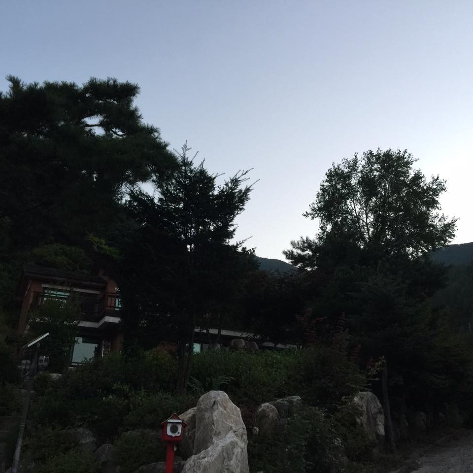 1098300886904074.jpg