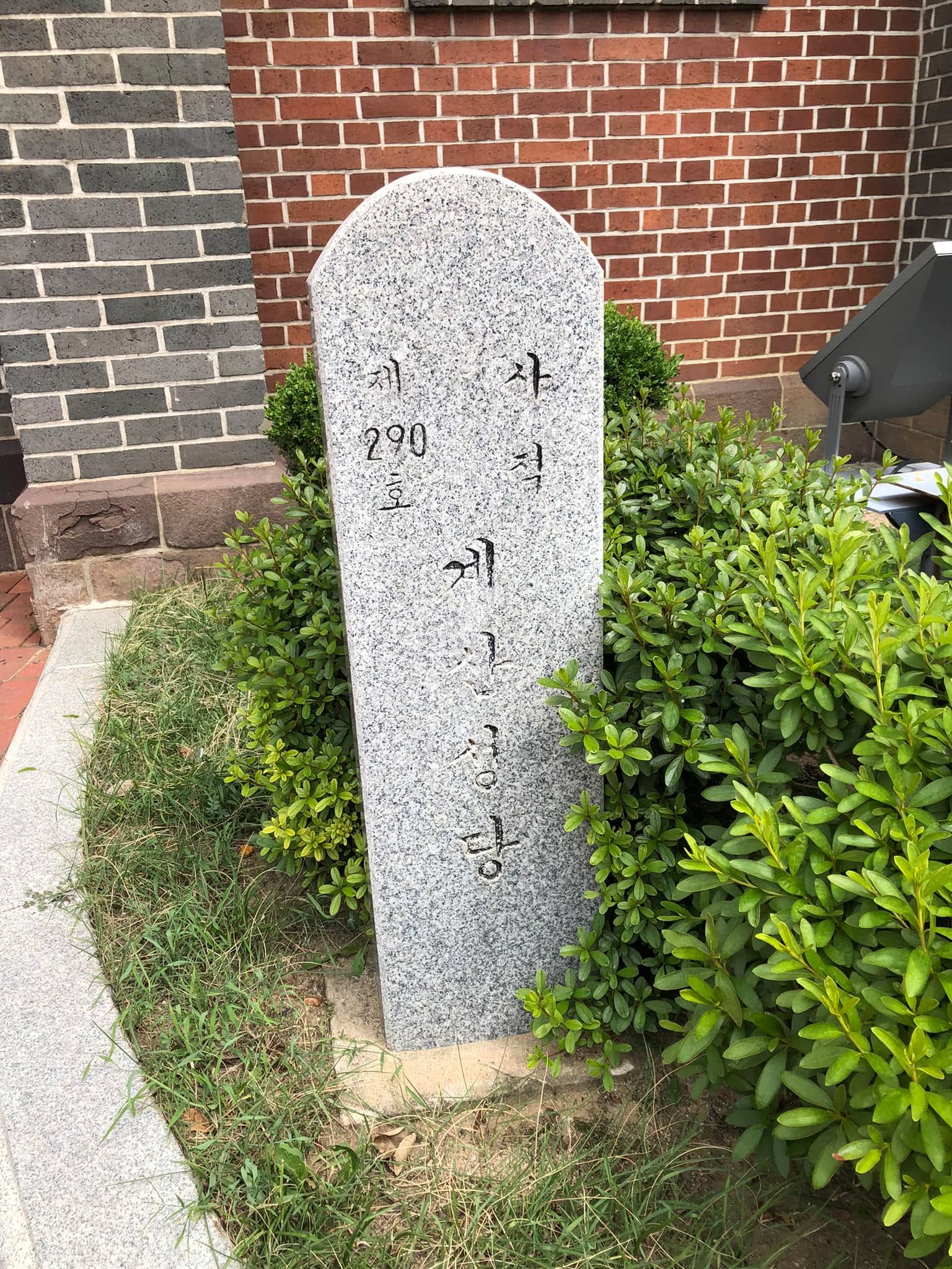 5384604081607045.jpg