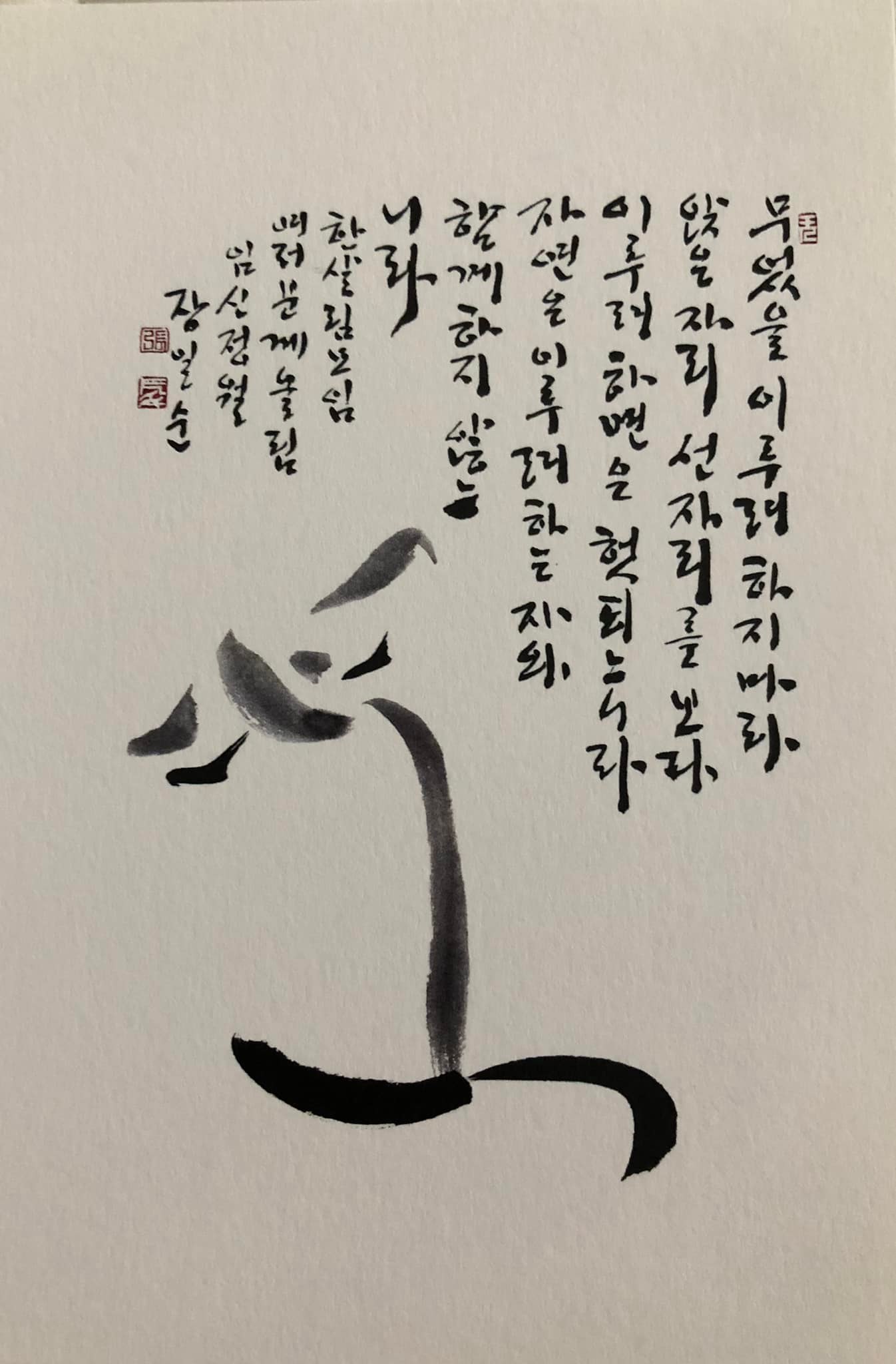 5392791427454977.jpg