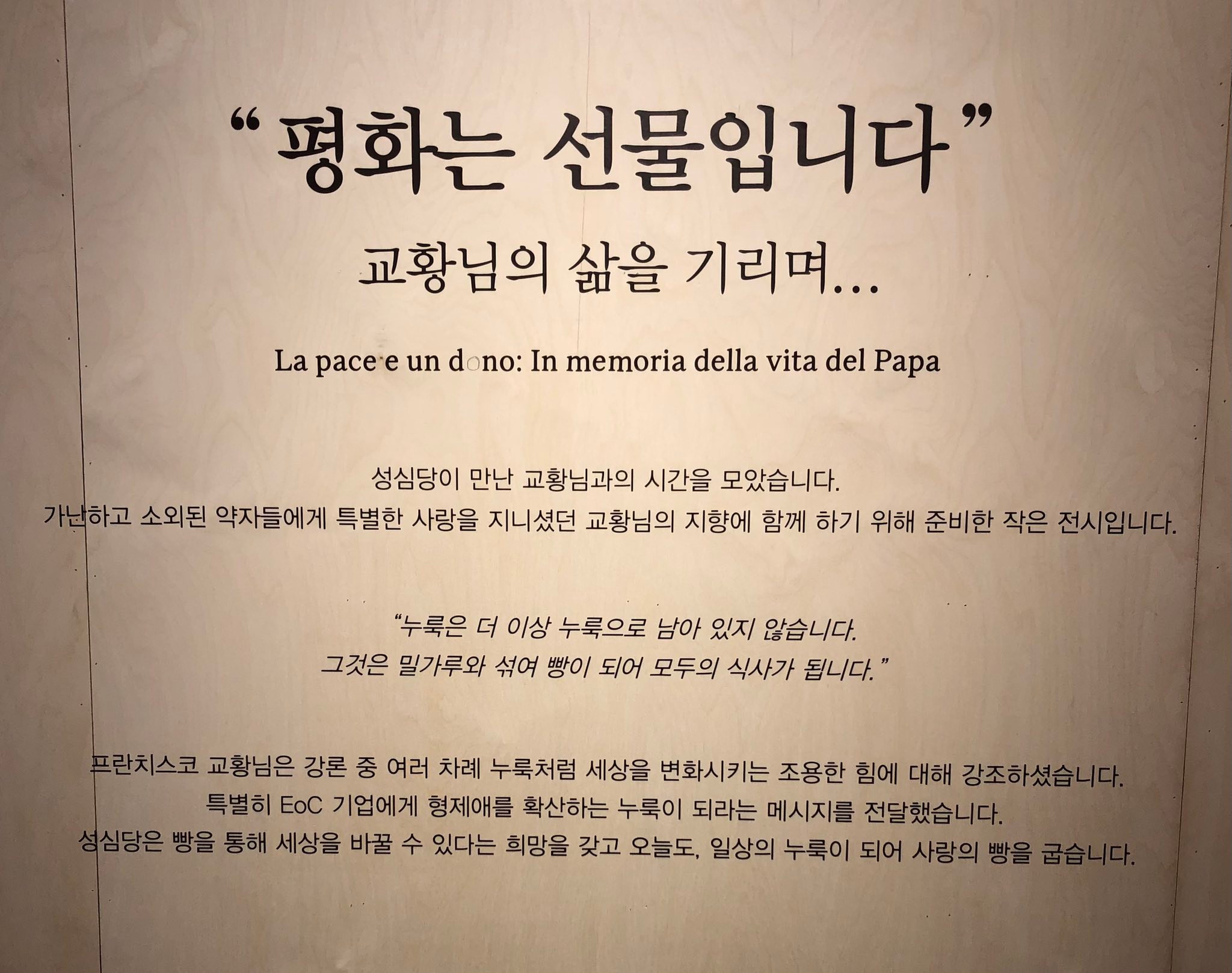 9810693892331353.jpg