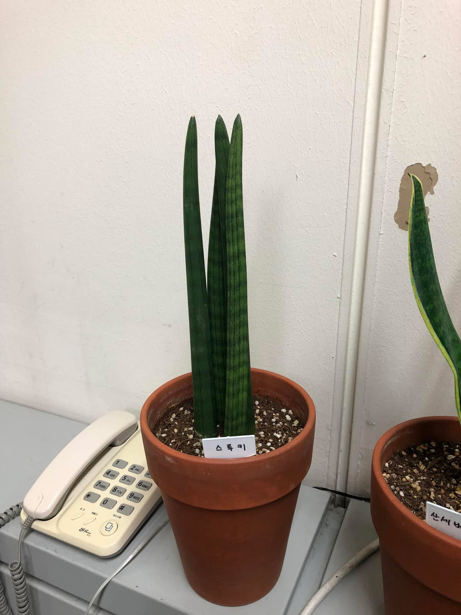 5539102819490503.jpg
