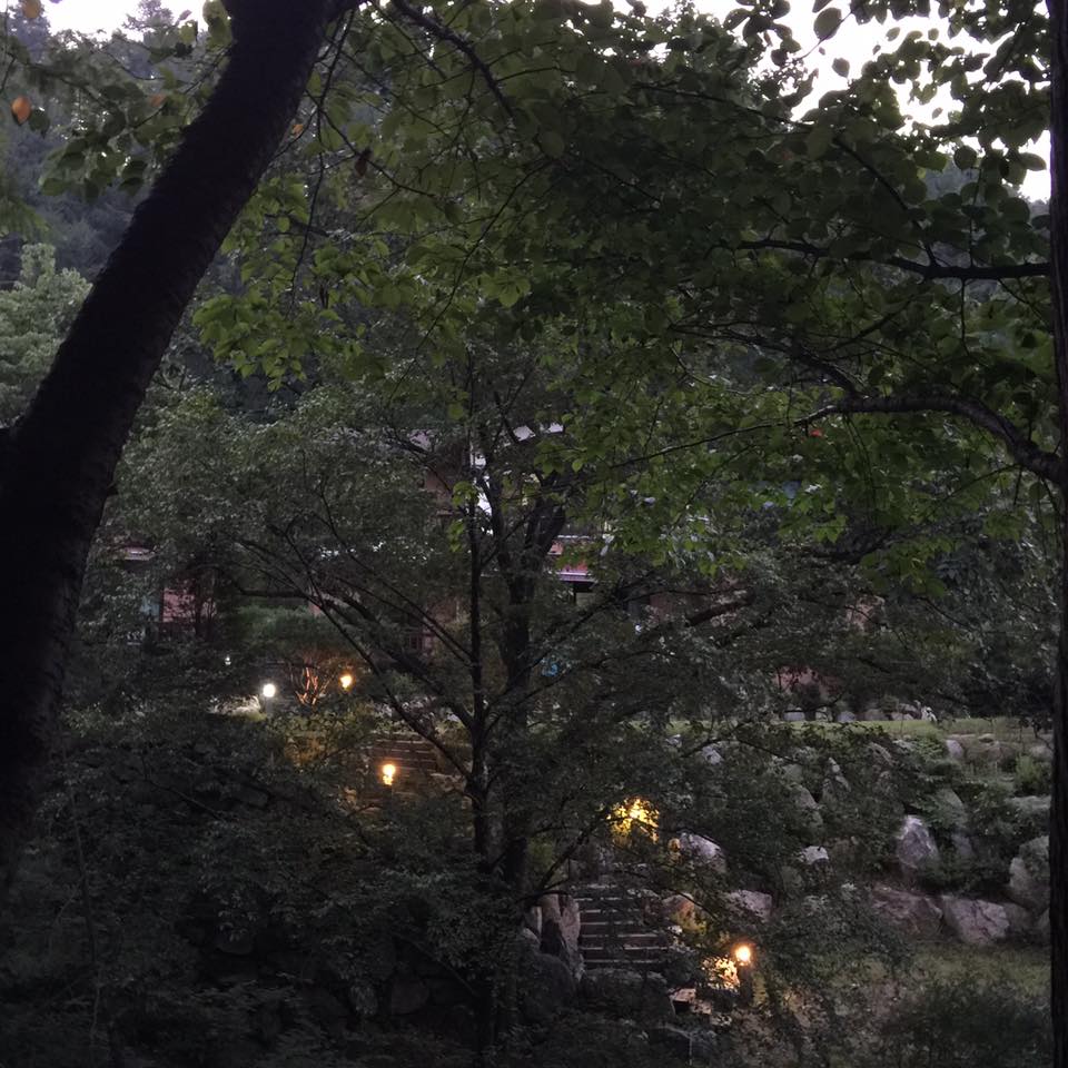 1098300860237410.jpg